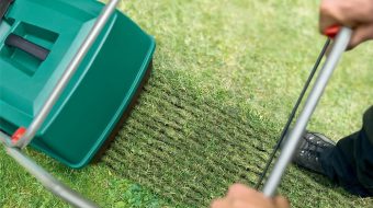 Scarificateur Bosch AVR 1100 : On vous dit tout !