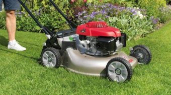 Meilleure tondeuse thermique Honda